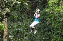Mystic Mountain Canopy Experience From Montego Bay