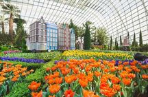 Sands SkyPark+Gardens by the Bay(FlowerDome&CloudForest)Transfers