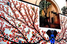 Old Delhi with Lodhi Art District