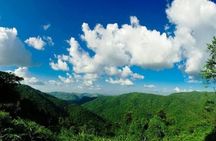 UNESCO Khao Yai National Park Adventure: Hiking & Waterfalls