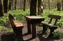 NP Biogradska Gora and Canyon Moraca (Private tour)