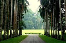 Kandy Day Tour