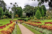 Private Day Trip To Highlights in Kandy.