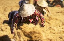 River Life In Mekong Delta Tour 3 Days