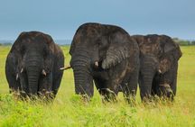 Full day Cape Vidal, iSimangaliso Wetland Safari