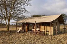 4 Day Adventure Lake Manyara , Serengeti & Ngorongoro 