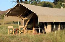 4 Day Adventure Lake Manyara , Serengeti & Ngorongoro 