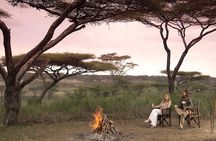 4 Day Adventure Lake Manyara , Serengeti & Ngorongoro 
