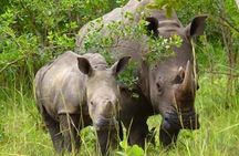 Ziwa Rhino Sanctuary