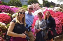 Yanaka Walking Tour: Historic and Traditional District of Tokyo