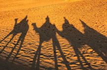 2 days cairo and giza attractions plus Gem, private tour 