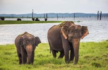 Udawalawe National Park Safari with Elephant Transit Home Visit