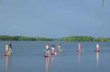 Stand up paddle in paradise