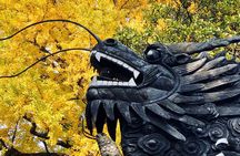 Half-Day Private Shanghai Tour by English Driver Guide including Bund, Xintiandi