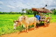 Sri Lanka Travel in 08 Nights 09 Days