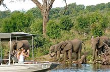 Chobe Safari Day Trip From Livingstone