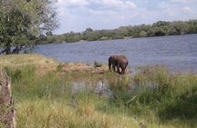 Chobe Safari Day Trip From Livingstone