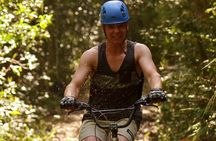 Knysna Scootour