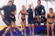 Basic Diver ( One Day Experience)