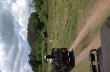  Half Day - Minneriya National Park Safari Tour From Habarana/Sigiriya
