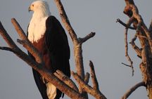 2 Days 1 Night Kruger Safaris from Maputo city