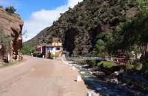 Private Day Tour from Marrakech To Ourika Valley and Atlas Mountain