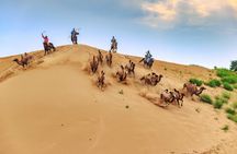 8 Days Tour: Gobi Desert And Kharkhorin