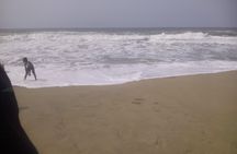Odisha Temple & Beach