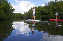 Stand up paddle in paradise