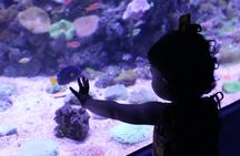 AquaRio Small Group Guided Tour with entrance and transfer