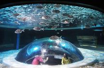 AquaRio Small Group Guided Tour with entrance and transfer