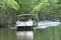 YS Falls plus Black River Safari Guided Tour w/Lunch & Admission from Falmouth