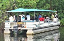 YS Falls and Black River Safari Guided Tour from Montego Bay and Grand Palladium