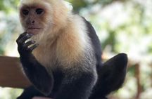 Goodman's Tour to the Sanctuary of Rescued Wild Animals