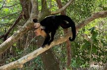 Goodman's Tour to the Sanctuary of Rescued Wild Animals