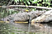 Private YS Falls and Black River Safari from Montego Bay and Grand Palladium