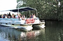 YS Falls and Black River Safari Guided Tour from Montego Bay and Grand Palladium