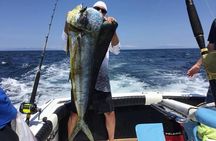 Full Day Sport Fishing Tour from Flamingo Beach