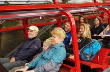Blue Mountains Ultimate One-Day Tour from Sydney