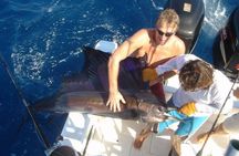 Half-full Day Sport Fishing Tour from Flamingo Beach