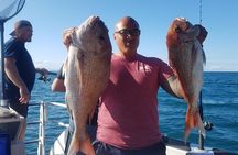 Fishing charter - Hauraki Gulf