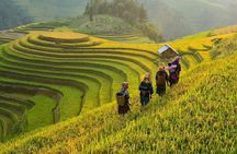 Trekking In Mu Cang Chai Tour 4 Days