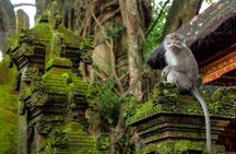 Ubud Tanah Lot Sunset Tour