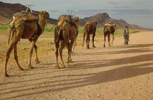 2 days 1 night zagoura dunes from marrakech