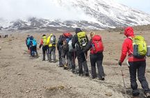 The Kilimanjaro Machame Trek