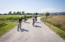 Bevagna E-Bike & Wine Tour 