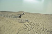 Premium Full-Day Safari, Dune Bash, Camel Ride and BBQ Meal in Desert Camp