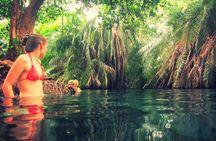 Kikuletwa Hot Spring Day Tour