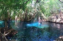 Kikuletwa Hot Spring Day Tour