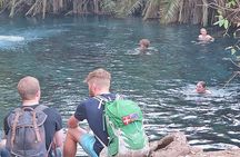 Kikuletwa Hot Spring Day Tour